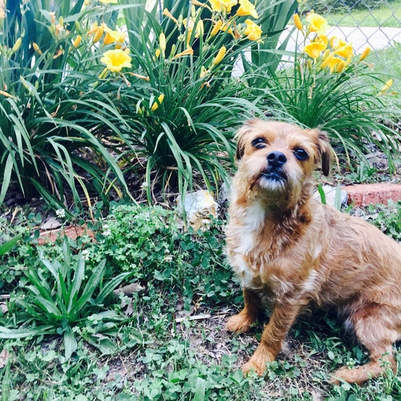 Meet your Posher, Jennifer - Picture 1 of 1